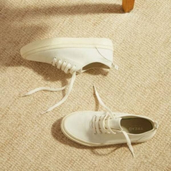 Sustainable Canvas Sneakers & Low Top For Men - Everlane The Forever Canvas Sneaker