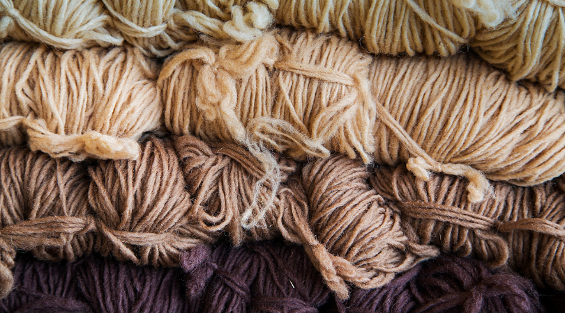 Is Wool Sustainable? Here’s What You Need to Know