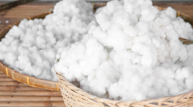 What Makes Cotton Organic?