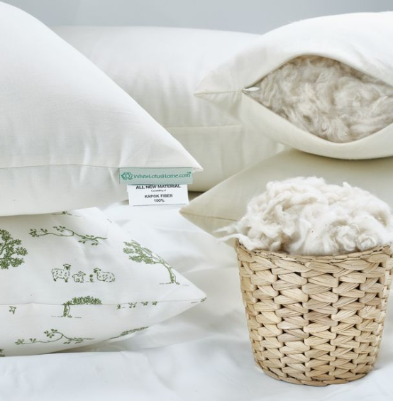 Buy Best Organic Cotton Filled Pillow, Eco Friendly Pillows