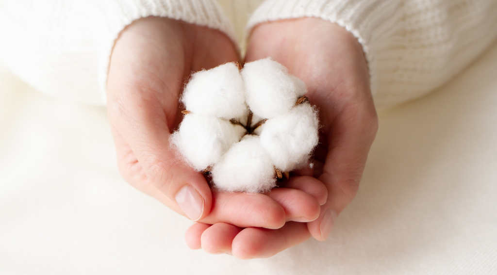 Organic Cotton Price Clothing Why It Matters