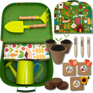 Indoor Plant Kits for Kids